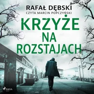 Audiobooki - kryminał, sensacja, thriller - Krzyże na rozstajach - miniaturka - grafika 1