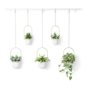 Plastikowe wiszące doniczki na zioła zestaw 5 szt. Triflora – Umbra - Donice - miniaturka - grafika 1