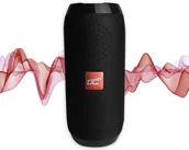 Głośniki przenośne - LTC MA TG117 - miniaturka - grafika 1