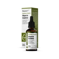 Układ pokarmowy - Pharmovit Ektrakt Wsparcie Trawienia krople 30 ml - miniaturka - grafika 1