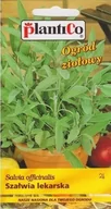 Nasiona i cebule - Plantico Szałwia lekarska - miniaturka - grafika 1
