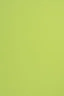 Dekoratorstwo - [ MC.5 ] Papier Sirio Col. 210g Lime j. zielony - 25A4 / al *  Papier Sirio Color 210g Lime pak. 25A4 - miniaturka - grafika 1