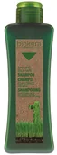 Szampony do włosów - Salerm Salerm, Biokera, szampon regulujący wydzielanie sebum, 300 ml - miniaturka - grafika 1