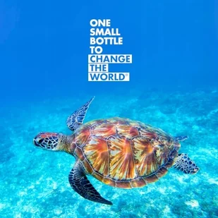 ION8 Żółta butelka na wodę dla dzieci w smoki 500 ml - Bidony dla dzieci - miniaturka - grafika 10