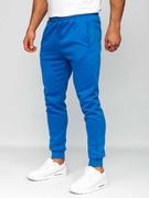 Spodnie sportowe męskie - Spodnie męskie joggery dresowe niebieskie Denley CK01 - miniaturka - grafika 1