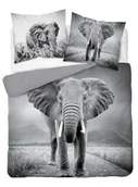 Pościel - Pościel Młodzieżowa Animal 200X220 Słoń - miniaturka - grafika 1
