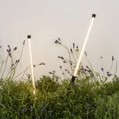 Lampy ogrodowe - FARO BARCELONA Bambou 1068 lampa z grotem ziemnym LED, czarna, aluminium/szkło, wysokość - miniaturka - grafika 1