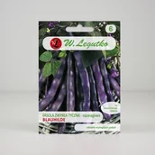 Nasiona i cebule - Nasiona Fasola zwykła Blauhilde 10g - W.Legutko - miniaturka - grafika 1