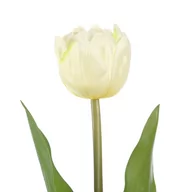 Sztuczne kwiaty - Sztuczny kwiat TULIPI kolor kremowy styl nowoczesny ameliahome - ARTFLOWER/AH/TULIPI/CREAM/1PC - miniaturka - grafika 1