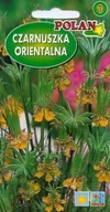 Nasiona i cebule - Czarnuszka orientalna 2 g POLAN - miniaturka - grafika 1