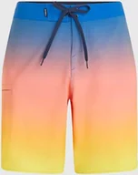 Kąpielówki męskie - O Neill Męskie Szorty HYPERFREAK HEAT FADE 19'' BOARDSHORTS - miniaturka - grafika 1