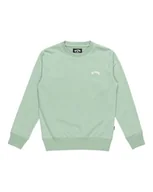Bluzy dla chłopców - BILLABONG Bluza chłopięca Arch Cr Lt (1 szt.) - miniaturka - grafika 1