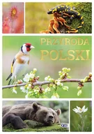 Albumy - przyroda - FENIX Przyroda Polski - praca zbiorowa - miniaturka - grafika 1