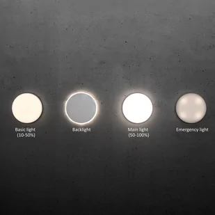 STEINEL RS PRO R20 plus SC sufitowa LED 4 000 K - Lampy sufitowe - miniaturka - grafika 3