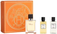 Kosmetyki do kąpieli - SET HERMES Terre D'Hermes EDT spray 50ml + SHOWER GEL 40ml + AFTER SHAVE 40ml - miniaturka - grafika 1