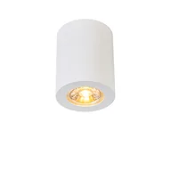 Lampy sufitowe - QAZQA Nowoczesny spot biały - Tuba 2 - miniaturka - grafika 1