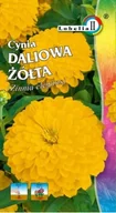 Nasiona i cebule - Cynia daliowa żółta 1g / L / - miniaturka - grafika 1