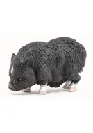 Albumy krajoznawcze - Wietnamska świnia zwisłobrzucha - miniaturka - grafika 1