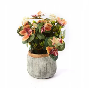 Kwiatek W Doniczce Ozdobna Roślina Różne Kolory - Sztuczne kwiaty - miniaturka - grafika 1