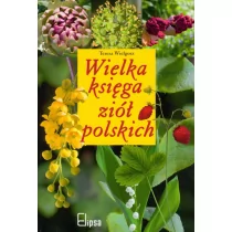 Wielka księga ziół polskich - Zdrowie - poradniki - miniaturka - grafika 1