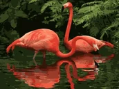 Malowanie po numerach - Obraz Malowanie Po Numerach Na Krośnie + Rama - miniaturka - grafika 1