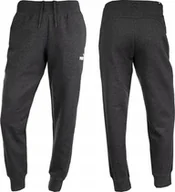 Spodnie sportowe damskie - Puma Spodnie damskie Puma ESS Sweatpants FL c.szare 586839 07 L - miniaturka - grafika 1