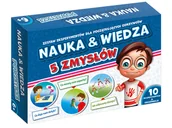 Mały naukowiec - Ranok Creative Nauka &amp Wiedza 5 zmysłów - miniaturka - grafika 1