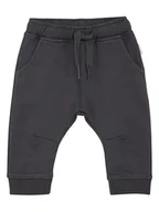 Spodenki dla niemowląt - Noppies Spodnie w kolorze antracytowym - miniaturka - grafika 1