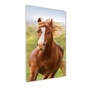 Obrazy i zdjęcia na płótnie - Foto-obraz szkło akryl pionowy Koń w galopie - miniaturka - grafika 1