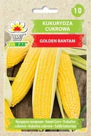 Nasiona i cebule - Kukurydza cukrowa GOLDEN BANTAM Zea mays L. saccharata Koern. - miniaturka - grafika 1