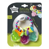 Gryzaki dla dzieci - Tommee Tippee Tommee Tippee Gryzak wodny | PONAD 10 TYŚ PRODUKTÓW W ATRAKCYJNYCH CENACH | SZYBKA 436470 - miniaturka - grafika 1