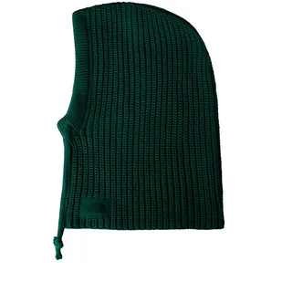 Kaptur The North Face Urban Lifestyle 0A88QZNL11 - zielony - Czapki i chusty sportowe męskie - miniaturka - grafika 1