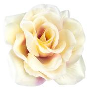 Sztuczne kwiaty - Róża Satynowa Główka Wyrobowa Kremowo-Fiołkowa - miniaturka - grafika 1