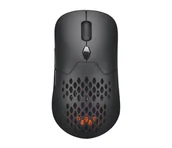 Myszki - Silver Monkey X Vervet - miniaturka - grafika 1