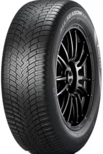 Pirelli Scorpion All Season SF2 235/55R19 105W - Opony terenowe i SUV całoroczne - miniaturka - grafika 1