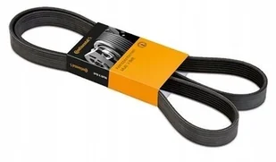 CONTITECH Pasek klinowy wielorowkowy 5PK1135 5PK1135 - Paski klinowe i wielorowkowe - miniaturka - grafika 1