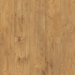 Panel podłogowy Dąb Umbria AC5/8mm V-fuga struktura 3D - Panele podłogowe - miniaturka - grafika 1