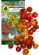 Nasiona i cebule - MIESZANKA POMIDORÓW DONICZKOWYCH KOKTAJLOWYCH KOLOROWE NASIONA BEZ GMO 0,3g - miniaturka - grafika 1