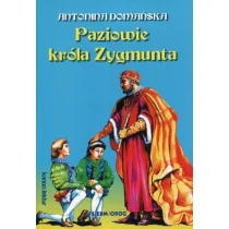 Paziowie króla Zygmunta - Lektury szkoła podstawowa - miniaturka - grafika 1
