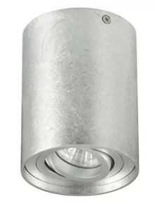 Auhilon Plafon LAMPA sufitowa TUBA NERO C1234-1L PLAT metalowa OPRAWA natynkowa tuba downlight srebrny C1234-1L PLAT - Lampy sufitowe - miniaturka - grafika 1