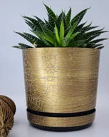 Donice - 16 cm wzór SAFARI EGZOTYK * Doniczka z podstawką * subtelny połysk * efekt drewna tekstura deski * z drenażem * niezwykły deseń * imitacja drzewa a.. - miniaturka - grafika 1