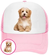 Czapki i chusty sportowe męskie - CZAPKA Z DASZKIEM PSY PIES PIESKI DLA DZIECI SIATKA RÓŻOWA BEJSBOLÓWKA - miniaturka - grafika 1