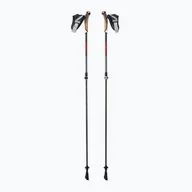 Kije trekkingowe - Kije nordic walking LEKI Instructor Lite czarno-srebrne 65326341 - miniaturka - grafika 1