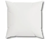 Poduszki - PODUSZKA 50x70cm JASIEK WKŁAD PODUSZEK WYPEŁNIENIE WKŁAD DO POSZEWEK - miniaturka - grafika 1