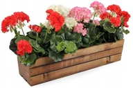 Skrzynie ogrodowe - Skrzynka Balkonowa Drewniana 60 Cm Na Kwiaty Zioła - miniaturka - grafika 1