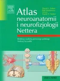 Atlas neuroanatomii i neurofizjologii Nettera - Książki medyczne - miniaturka - grafika 1
