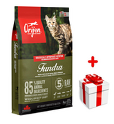 Sucha karma dla kotów - ORIJEN Tundra Cat 5,4kg + niespodzianka dla kota - miniaturka - grafika 1