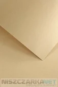 Papier do drukarek - Papier ozdobny Nature Ciemnobeżowy 120g/m2 - opk 50ark/A4 - miniaturka - grafika 1