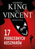 Horror, fantastyka grozy - 17 podniebnych koszmarów. Duże Litery - Stephen King, Bev Vincent - książka - miniaturka - grafika 1