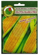 Nasiona i cebule - Kukurydza cukrowa Złota karłowa 20 g PNOS - miniaturka - grafika 1